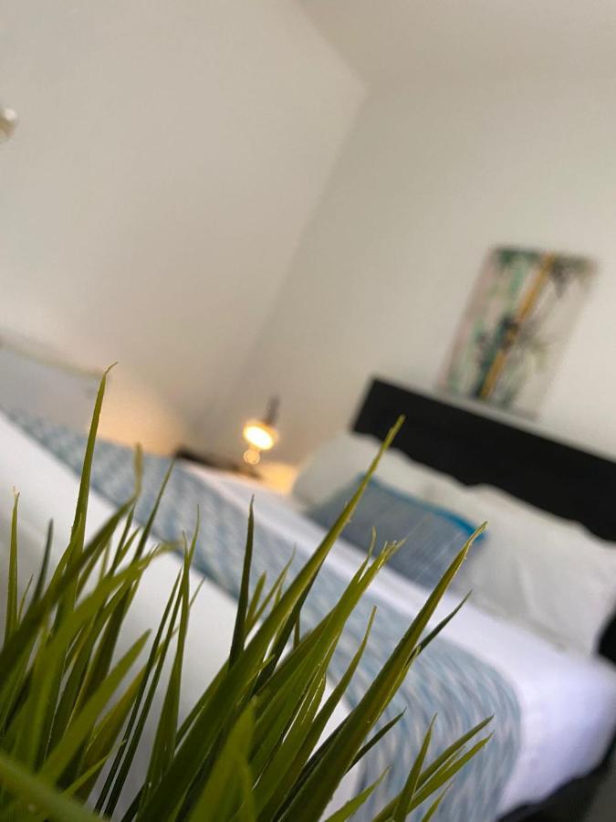 Rig Casa Conde Hotell Santo Domingo Eksteriør bilde